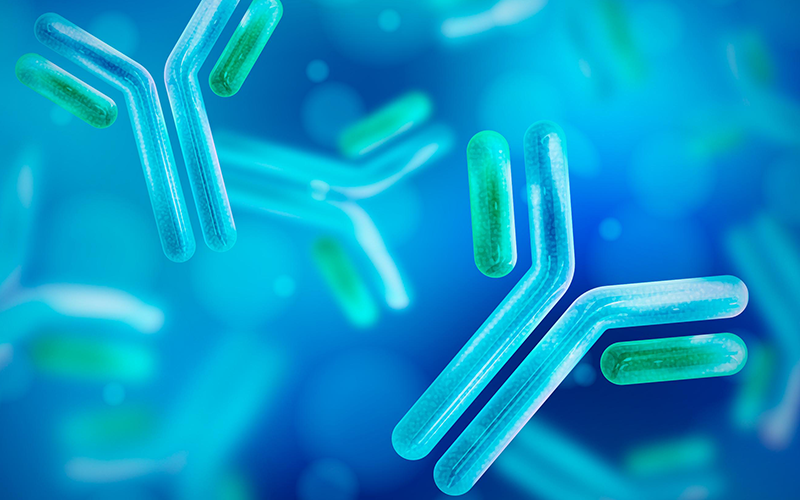 �ŵ�88(�й���)�ٷ���վ