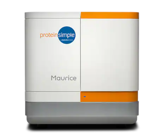 �ŵ�88(�й���)�ٷ���վ