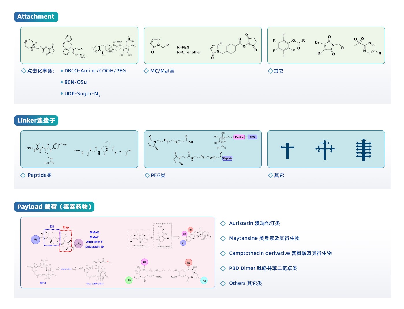 0703¶¾ËØ-ÅþÁ¬×ÓÅŰæ.jpg 0703¶¾ËØ-ÅþÁ¬×ÓÅŰæ.jpg
