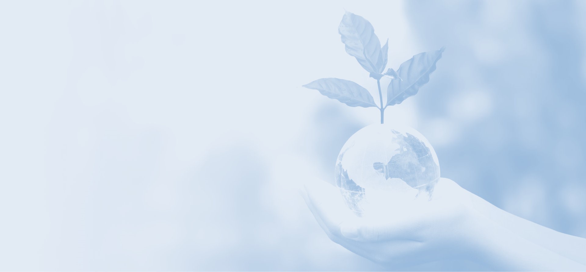 �ŵ�88(�й���)�ٷ���վ