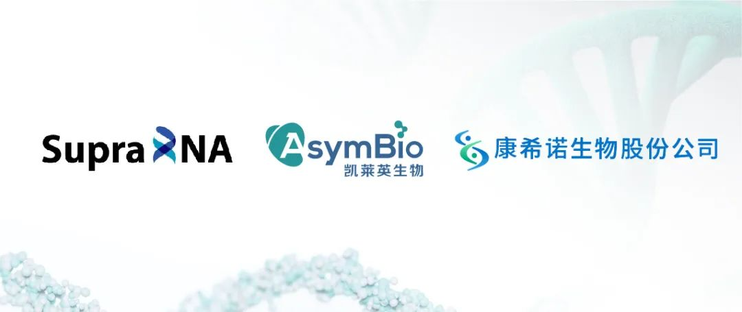 �ŵ�88(�й���)�ٷ���վ