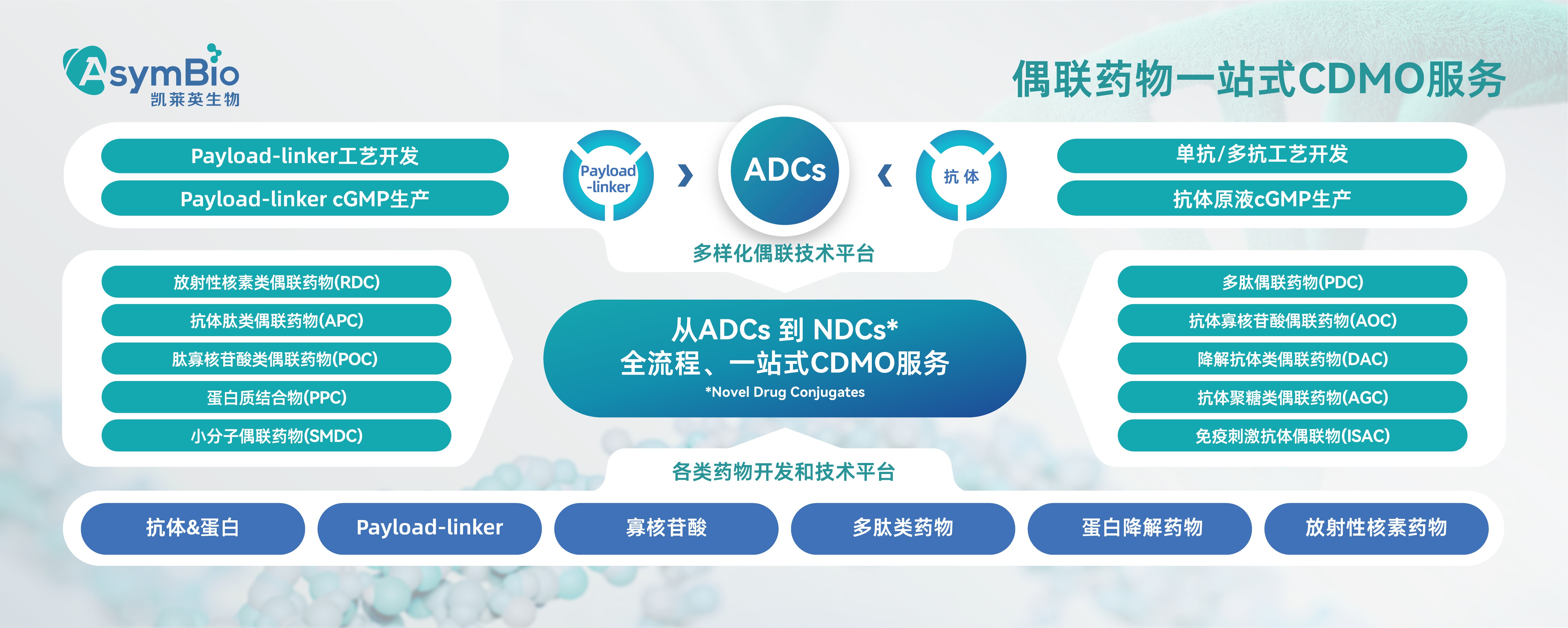 20250610-CBA鑻忓窞灞曚細鐢婚潰妯増-03.jpg 20250610-CBA鑻忓窞灞曚細鐢婚潰妯増-03.jpg