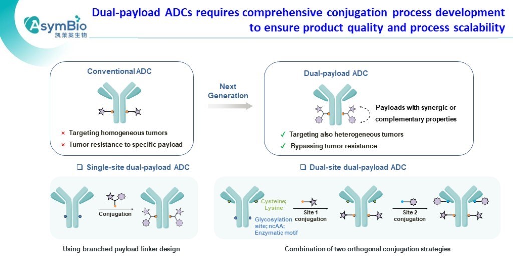 P6 AsymBio.16th wADC slides.jpg
