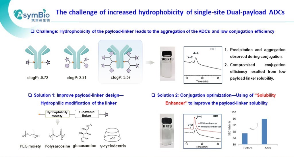 P7 AsymBio.16th wADC slides.jpg