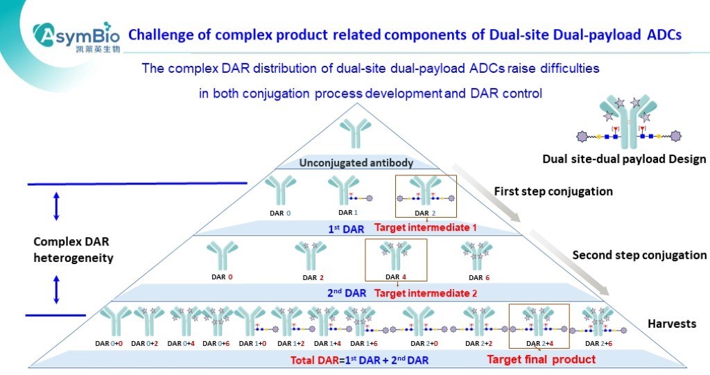 P9 AsymBio.16th wADC slides.jpg