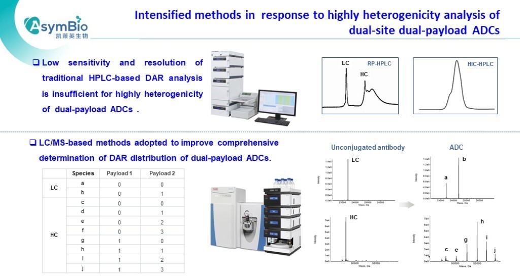 P11 AsymBio.16th wADC slides.jpg