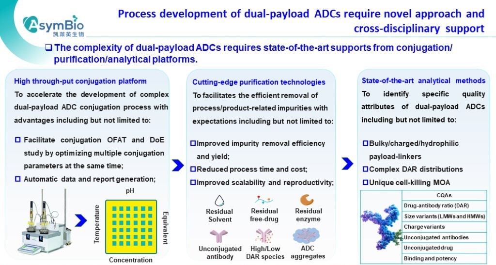 P12 AsymBio.16th wADC slides.jpg